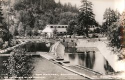 Fish Hatchery on Colombia River Highway Postcard