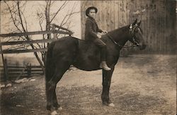 Boy seated on horse Children Postcard Postcard Postcard