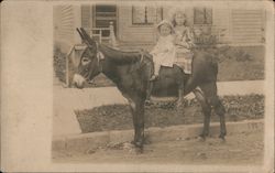 Two children seated on a donkey Donkeys Postcard Postcard Postcard