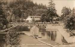 Fish Hatchery on Columbia River Highway Bonneville, OR Postcard Postcard Postcard