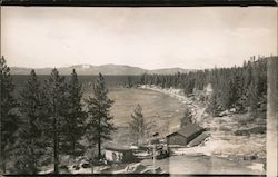 Bay, larch trees, houses, utility shed, mountains Postcard