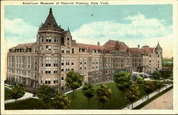 American Museum Of Natural History New York City, NY Postcard Postcard