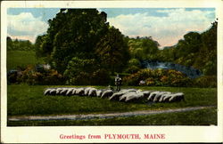 Greetings From Plymouth Maine Postcard Postcard