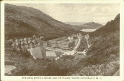 The New Profile House And Cottages White Mountains, NH Postcard Postcard