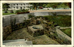 Fountain Of Youth Postcard