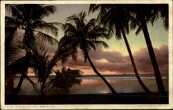 Sunset On Lake Worth Postcard