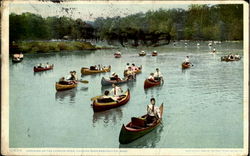 Canoeing On The Charles River Boston, MA Postcard Postcard