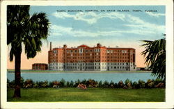 Tampa Municipal Hospital , Davis Island Florida Postcard Postcard