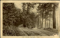 The Pines Cornwall, CT Postcard Postcard