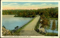 View Of Causeway Middlesex Fells Postcard