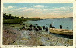 Digging Little Neck Clams Cape Cod, MA Postcard Postcard