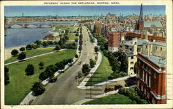 Driveway Along The Esplanade Postcard