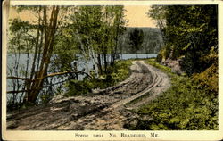 Scene Near No. Bradford Postcard