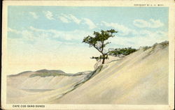 Cape Cod Sand Dunes Massachusetts Postcard Postcard