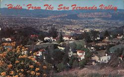 Hello from the San Fernando Valley Los Angeles, CA Postcard Postcard Postcard