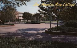 Campus Los Angeles City College Postcard