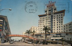 The El Cortez Hotel Postcard