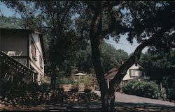 Erika's Hillside Bed and Breakfast Saint Helena, CA Postcard Postcard Postcard