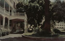 St. Helena Sanitarium Postcard