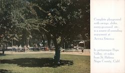 Children's Playground at Aetna Springs Postcard