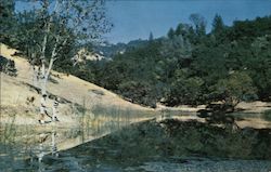 Aetna Springs, Six Lakes Offer a Variety For the Fisherman Pope Valley, CA Postcard Postcard Postcard