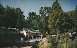 Whispering Pines Resort Motel Midpines, CA Postcard Postcard Postcard