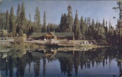 Silver Tip Lodge Fish Camp, CA Postcard Postcard Postcard