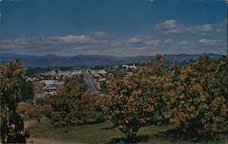 Scenic View Escondido, CA Postcard Postcard Postcard