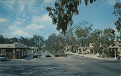 Beautiful village nestled among the hills and groves in San Diego County Postcard