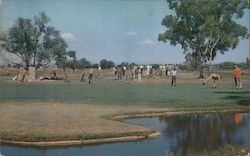 Lakewood Golf and Country Club California Postcard Postcard Postcard