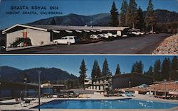 Shasta Royal Inn Mount Shasta, CA Postcard Postcard Postcard