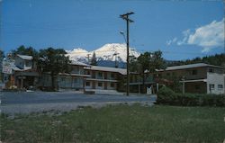 Alpine Lodge Motel Mount Shasta, CA Postcard Postcard Postcard