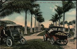 Musa Isle Farm Miami, FL Postcard Postcard Postcard