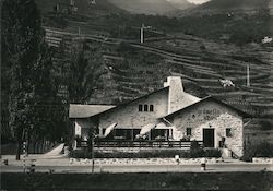 Ristorante Grumello, Francesco Trippi Postcard