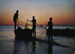 Bringing in Fishing Nets at Sunset Postcard