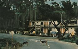 Beachcomber Inn Postcard