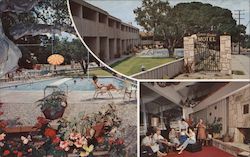 Cypress Gardens Motel Postcard