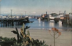 Fisherman's Wharf Monterey, CA Postcard Postcard Postcard