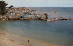 Glass Bottom Boats and Pier Postcard