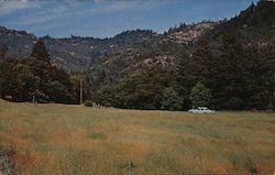 Calistoga Ranch Club, Napa Valley Postcard