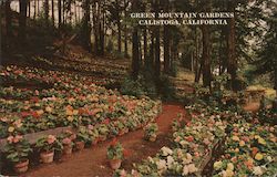 Green Mountain Gardens Calistoga, CA Postcard Postcard Postcard