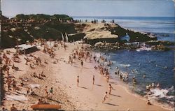 The Cove Postcard