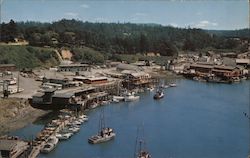 Noyo Harbor Postcard