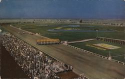 Bay Meadows Race Track San Mateo, CA Postcard Postcard Postcard