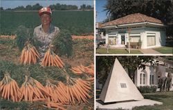 Holtville "Carrot Capital of the World" California Postcard Postcard Postcard