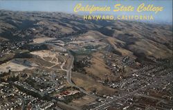 Aerial View of California State College, Alameda County Postcard