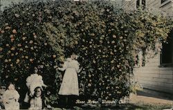 Rose Arbor Willows, CA Postcard Postcard Postcard