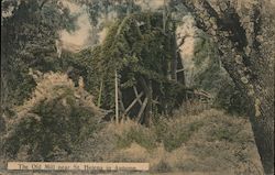 The Old Mill in Autumn Postcard