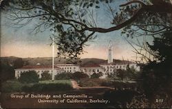 Group of Buildings and Campanille - University of California Berkeley, CA Postcard Postcard Postcard