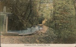 Irrigation Ditch Nevada City, CA Postcard Postcard Postcard